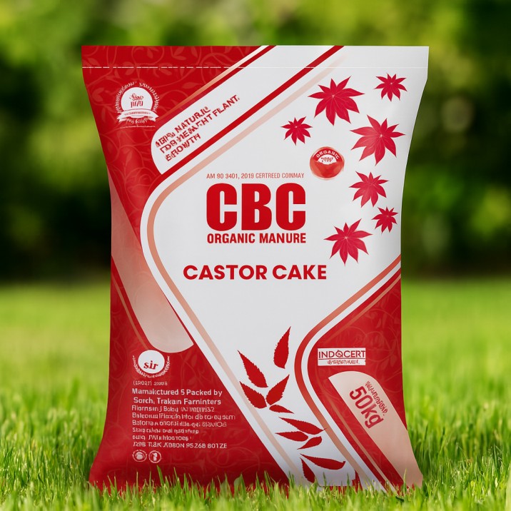 Castor Cake